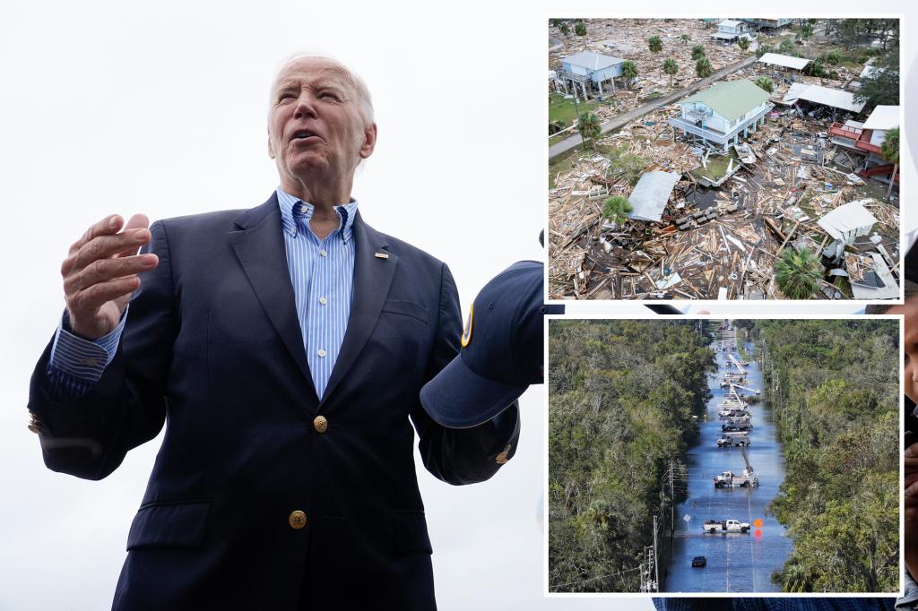 Biden labels people 'brain dead' for doubting 'climate crisis' caused by Hurricane Helene: 'Put politics aside'